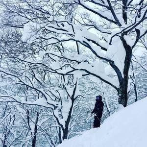 Meet your Posher, Johnny